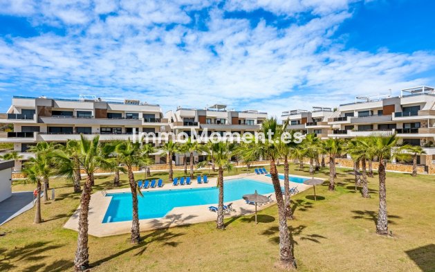 Reventa - Apartamento - Orihuela - Los Altos
