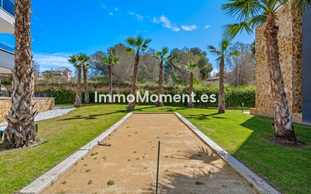 Reventa - Apartamento - Orihuela - Los Altos