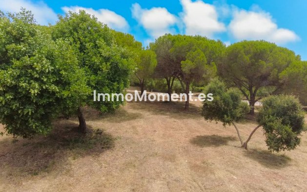 New Build - Land - Sotogrande - Sotogrande Alto