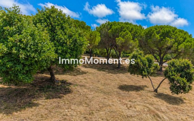 New Build - Land - Sotogrande - Sotogrande Alto