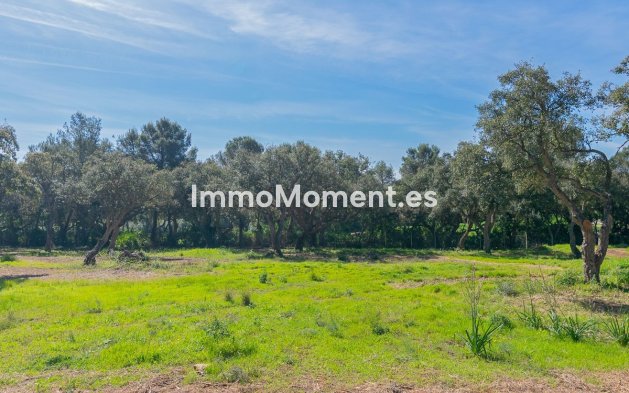 New Build - Land - Sotogrande - Sotogrande Alto