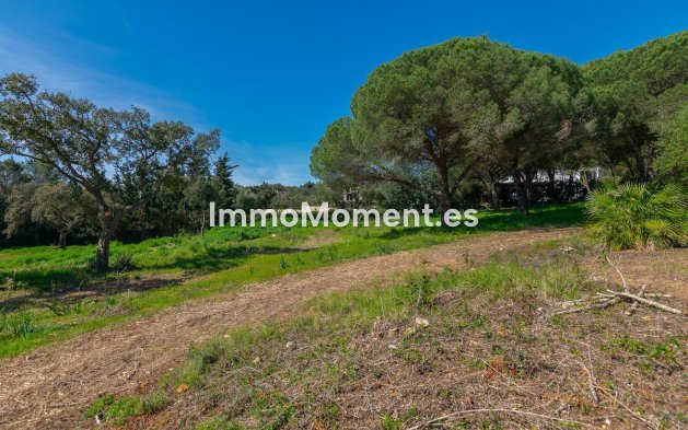 New Build - Land - Sotogrande - Sotogrande Alto