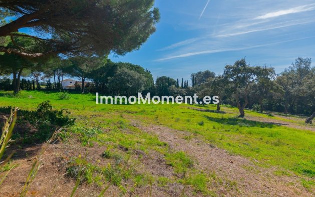 New Build - Land - Sotogrande - Sotogrande Alto