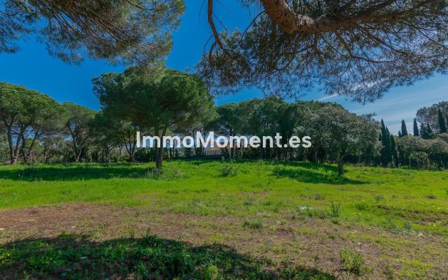 New Build - Land - Sotogrande - Sotogrande Alto