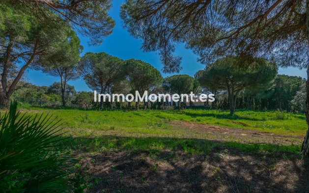 New Build - Land - Sotogrande - Sotogrande Alto