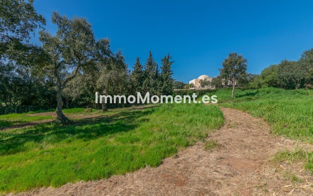 New Build - Land - Sotogrande - Sotogrande Alto