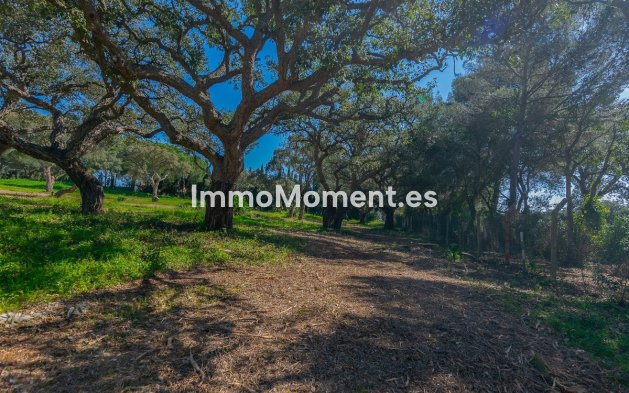 New Build - Land - Sotogrande - Sotogrande Alto