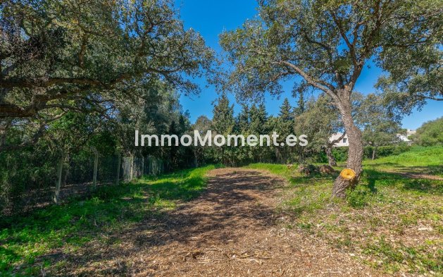 New Build - Land - Sotogrande - Sotogrande Alto