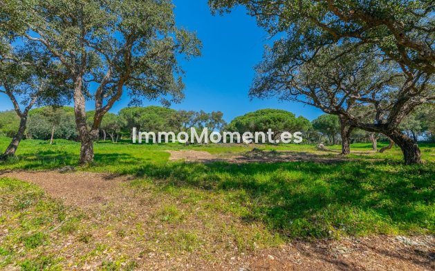 New Build - Land - Sotogrande - Sotogrande Alto