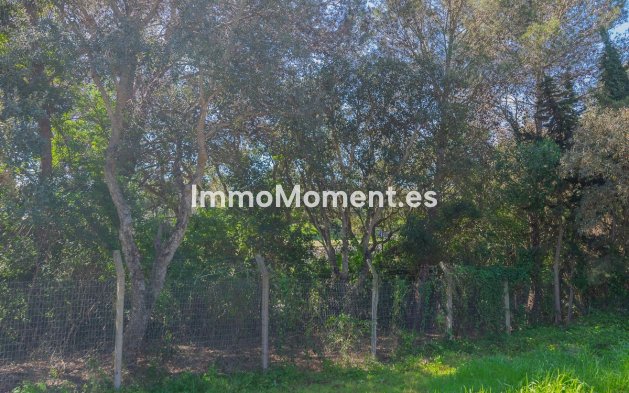 New Build - Land - Sotogrande - Sotogrande Alto