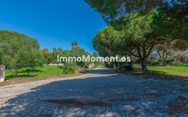 Obra nueva - Terreno - Sotogrande - Sotogrande Alto