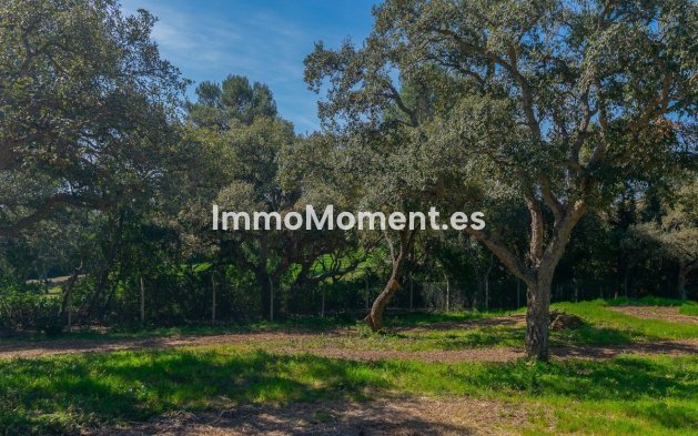 Obra nueva - Terreno - Sotogrande - Sotogrande Alto