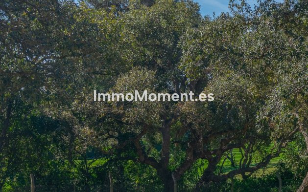 Obra nueva - Terreno - Sotogrande - Sotogrande Alto