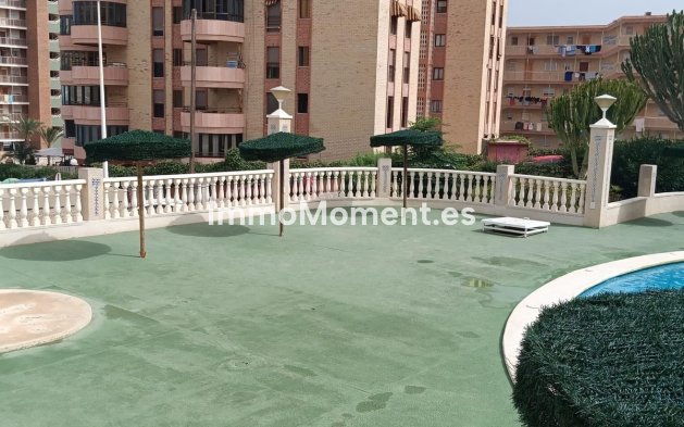 Wiederverkauf - Wohnung - Elche - Arenales del Sol