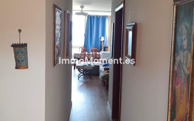 Wiederverkauf - Wohnung - Elche - Arenales del Sol