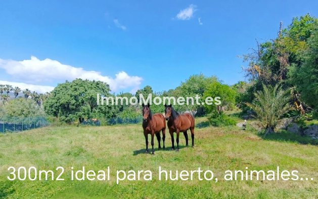 Resale - Villa - Estepona - Estepona Centro