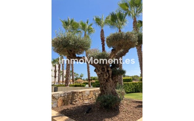Resale - Apartment - Orihuela - Las Colinas Golf