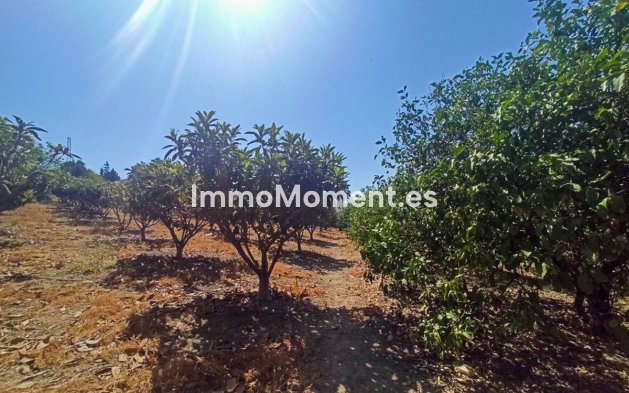 Resale - Country house - Estepona - Estepona Centro