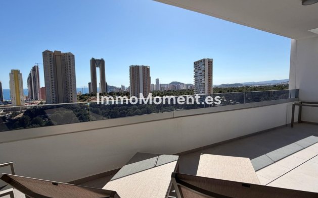 Reventa - Apartamento - Benidorm - Benidorm Centro