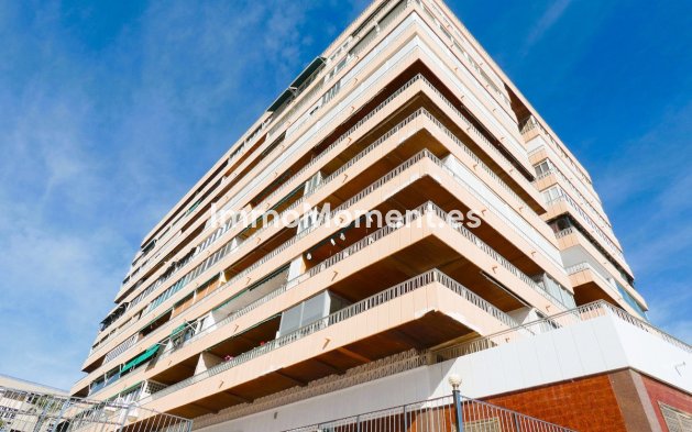Revente - Appartement - Torrevieja - Torrevieja Centro