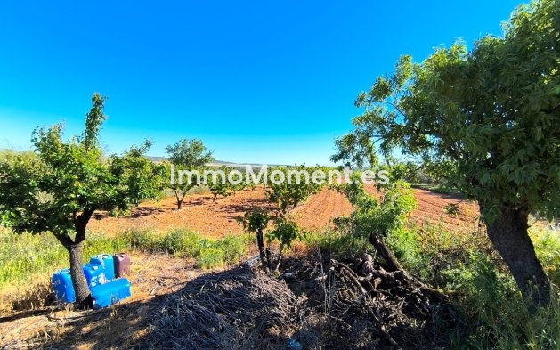 Revente - Maison de campagne - Yecla - Yecla Centro