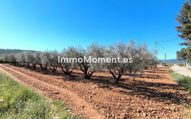 Revente - Maison de campagne - Yecla - Yecla Centro