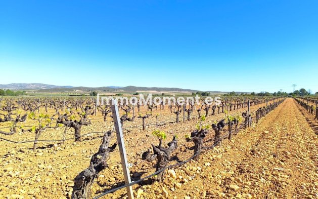 Revente - Maison de campagne - Yecla - Yecla Centro