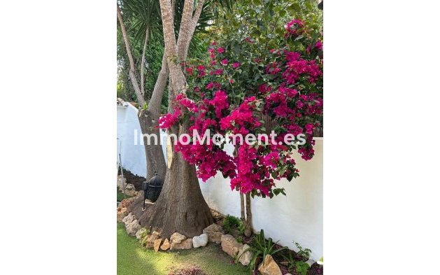 Revente - Maison mitoyenne - Marbella - Nueva Andalucía