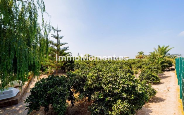 Reventa - Casa de campo - Almoradí - Almoradi Centro