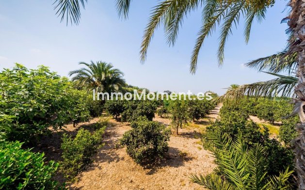 Reventa - Casa de campo - Almoradí - Almoradi Centro