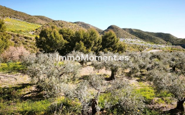 Wiederverkauf - Grundstück - Lorca - Lorca Centro