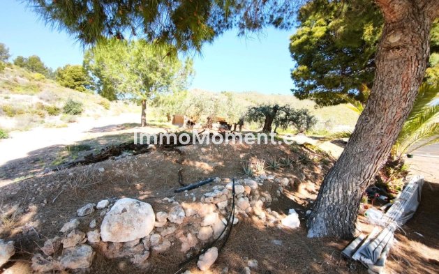 Wiederverkauf - Grundstück - Lorca - Lorca Centro