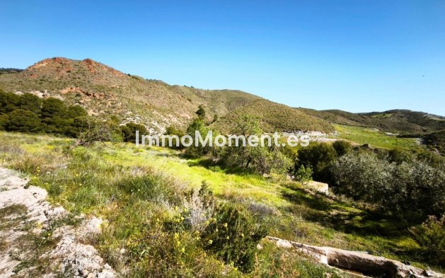 Wiederverkauf - Grundstück - Lorca - Lorca Centro