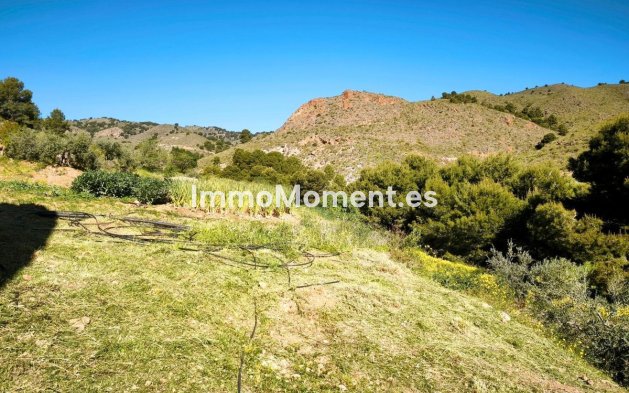 Wiederverkauf - Grundstück - Lorca - Lorca Centro