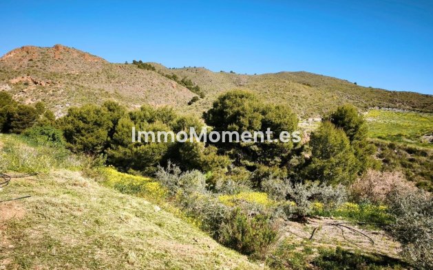 Wiederverkauf - Grundstück - Lorca - Lorca Centro