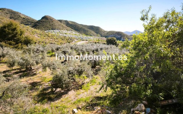 Wiederverkauf - Grundstück - Lorca - Lorca Centro