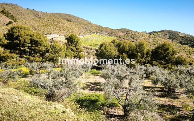 Wiederverkauf - Grundstück - Lorca - Lorca Centro
