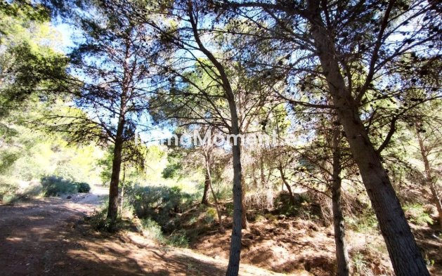 Wiederverkauf - Grundstück - Lorca - Lorca Centro