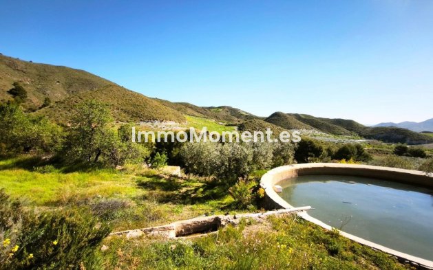 Wiederverkauf - Grundstück - Lorca - Lorca Centro