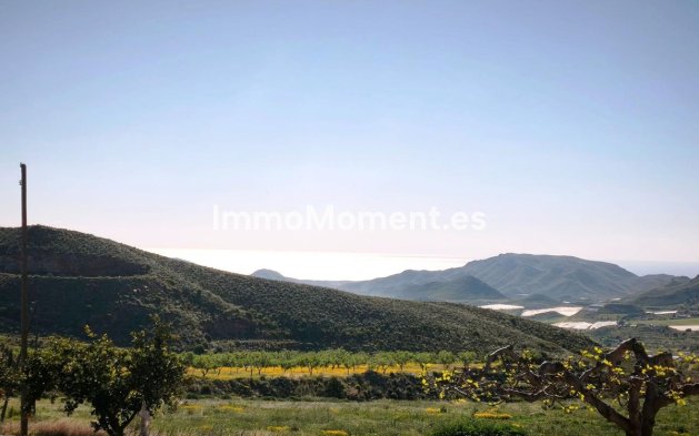 Wiederverkauf - Grundstück - Lorca - Lorca Centro