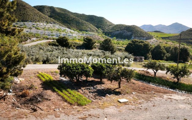 Wiederverkauf - Grundstück - Lorca - Lorca Centro
