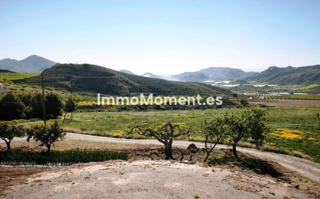 Wiederverkauf - Grundstück - Lorca - Lorca Centro
