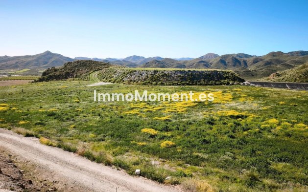 Wiederverkauf - Grundstück - Lorca - Lorca Centro