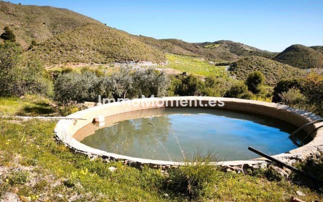 Wiederverkauf - Grundstück - Lorca - Lorca Centro