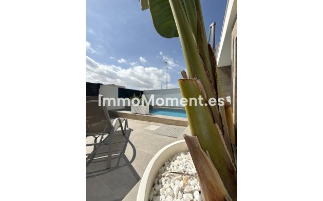 Resale - Detached villa - Los Montesinos - Los Montesinos Centro