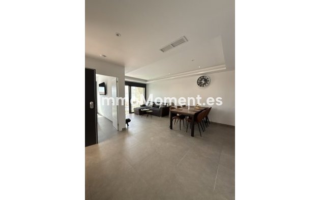 Resale - Detached villa - Los Montesinos - Los Montesinos Centro