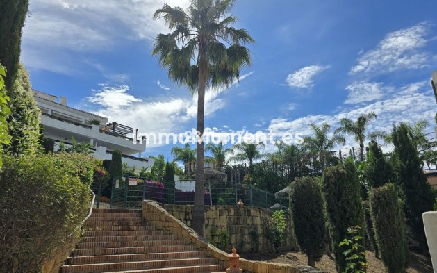 Revente - Appartement - Marbella - Nueva Andalucía