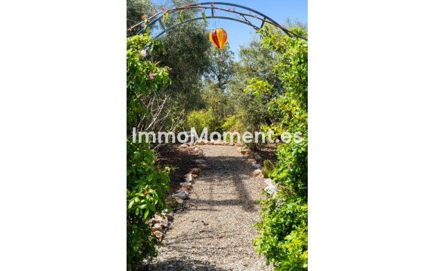 Resale - Detached villa - Inland  - Alhaurín el Grande Centro
