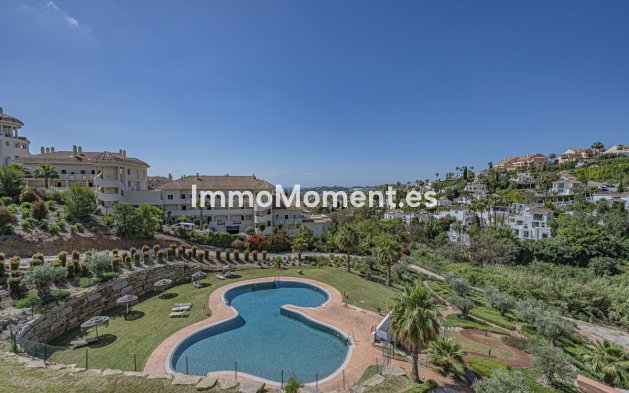 Resale - Apartment - Marbella - Nueva Andalucía