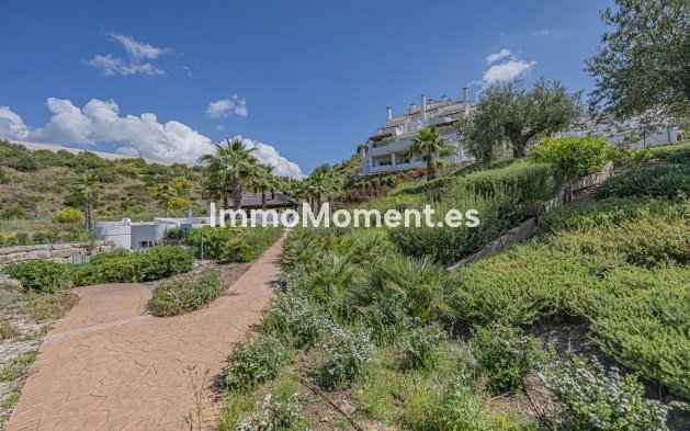 Resale - Apartment - Marbella - Nueva Andalucía